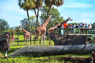 Filename=DSC_7351.jpg
Filesize=10172KiB
Dimensions=7360x4912
Date added=Sep 27, 2019 DSC_7351.jpg