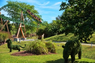 Filename=DSC_7359.jpg
Filesize=14873KiB
Dimensions=7360x4912
Date added=Sep 27, 2019 DSC_7359.jpg