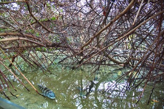 Filename=DSC_7377.jpg
Filesize=23808KiB
Dimensions=7360x4912
Date added=Sep 27, 2019 DSC_7377.jpg