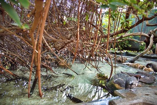 Filename=DSC_7384.jpg
Filesize=21169KiB
Dimensions=7360x4912
Date added=Sep 27, 2019 DSC_7384.jpg