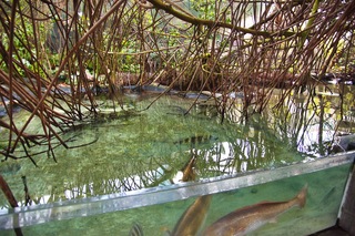 Filename=DSC_7387.jpg
Filesize=17505KiB
Dimensions=7360x4912
Date added=Sep 27, 2019 DSC_7387.jpg