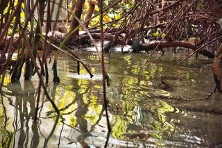 Filename=DSC_7388.jpg
Filesize=20917KiB
Dimensions=7360x4912
Date added=Sep 27, 2019 DSC_7388.jpg