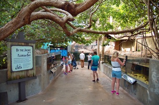 Filename=DSC_7389.jpg
Filesize=13977KiB
Dimensions=7360x4912
Date added=Sep 27, 2019 DSC_7389.jpg