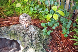 Filename=DSC_7396.jpg
Filesize=23795KiB
Dimensions=7360x4912
Date added=Sep 27, 2019 DSC_7396.jpg