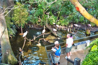 Filename=DSC_7405.jpg
Filesize=17820KiB
Dimensions=7360x4912
Date added=Sep 27, 2019 DSC_7405.jpg