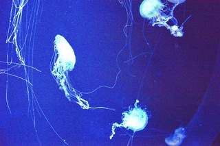 Filename=DSC_7433.jpg
Filesize=31118KiB
Dimensions=7360x4912
Date added=Sep 27, 2019 DSC_7433.jpg