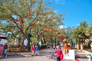 Filename=DSC_7463.jpg
Filesize=18236KiB
Dimensions=7360x4912
Date added=Sep 27, 2019 DSC_7463.jpg