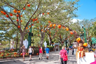 Filename=DSC_7464.jpg
Filesize=19897KiB
Dimensions=7360x4912
Date added=Sep 27, 2019 DSC_7464.jpg