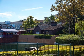 Filename=DSC_7469.jpg
Filesize=11596KiB
Dimensions=7360x4912
Date added=Sep 27, 2019 DSC_7469.jpg