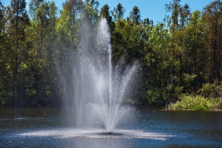 Filename=DSC_7561.jpg
Filesize=16636KiB
Dimensions=7360x4912
Date added=Sep 27, 2019 DSC_7561.jpg