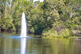 Filename=DSC_7562.jpg
Filesize=20575KiB
Dimensions=7360x4912
Date added=Sep 27, 2019 DSC_7562.jpg