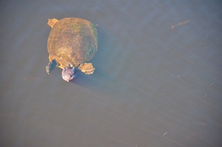 Filename=DSC_7566.jpg
Filesize=10577KiB
Dimensions=7360x4912
Date added=Sep 27, 2019 DSC_7566.jpg