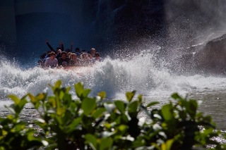 Filename=DSC_7698.jpg
Filesize=10947KiB
Dimensions=7360x4912
Date added=Sep 27, 2019 DSC_7698.jpg