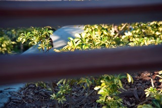 Filename=DSC_7771.jpg
Filesize=4393KiB
Dimensions=7360x4912
Date added=Sep 27, 2019 DSC_7771.jpg