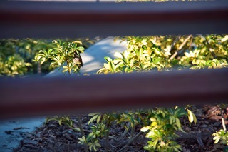 Filename=DSC_7772.jpg
Filesize=4347KiB
Dimensions=7360x4912
Date added=Sep 27, 2019 DSC_7772.jpg