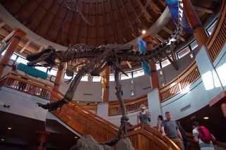 Filename=DSC_7893.jpg
Filesize=5807KiB
Dimensions=7360x4912
Date added=Sep 27, 2019 DSC_7893.jpg