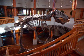 Filename=DSC_7897.jpg
Filesize=6683KiB
Dimensions=7360x4912
Date added=Sep 27, 2019 DSC_7897.jpg