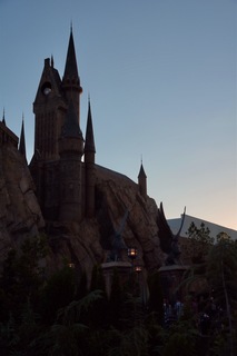 Filename=DSC_7943.jpg
Filesize=3167KiB
Dimensions=4912x7360
Date added=Sep 27, 2019 DSC_7943.jpg