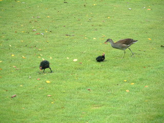 Filename=Disney62203_003.jpg
Filesize=1214KiB
Dimensions=2048x1536
Date added=Sep 28, 2019 Disney62203_003.jpg