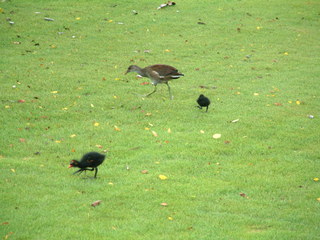 Filename=Disney62203_004.jpg
Filesize=1247KiB
Dimensions=2048x1536
Date added=Sep 28, 2019 Disney62203_004.jpg