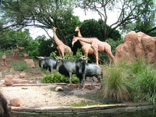 Filename=Disney62203_038.jpg
Filesize=1176KiB
Dimensions=2048x1536
Date added=Sep 28, 2019 Disney62203_038.jpg