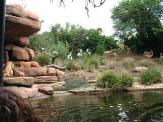 Filename=Disney62203_039.jpg
Filesize=1228KiB
Dimensions=2048x1536
Date added=Sep 28, 2019 Disney62203_039.jpg