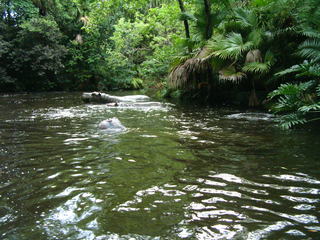 Filename=Disney62203_046.jpg
Filesize=1145KiB
Dimensions=2048x1536
Date added=Sep 28, 2019 Disney62203_046.jpg