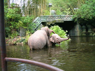 Filename=Disney62203_051.jpg
Filesize=1142KiB
Dimensions=2048x1536
Date added=Sep 28, 2019 Disney62203_051.jpg