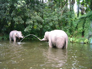 Filename=Disney62203_052.jpg
Filesize=1160KiB
Dimensions=2048x1536
Date added=Sep 28, 2019 Disney62203_052.jpg