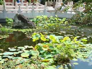 Filename=EPCOT_9-14-03_015.jpg
Filesize=1247KiB
Dimensions=2048x1536
Date added=Sep 27, 2019 EPCOT_9-14-03_015.jpg