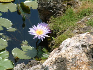 Filename=EPCOT_9-14-03_016.jpg
Filesize=1277KiB
Dimensions=2048x1536
Date added=Sep 27, 2019 EPCOT_9-14-03_016.jpg