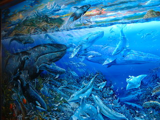 Filename=EPCOT_9-22-03_012.jpg
Filesize=1252KiB
Dimensions=2048x1536
Date added=Sep 27, 2019 EPCOT_9-22-03_012.jpg