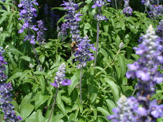 Filename=EPCOT_9-22-03_024.jpg
Filesize=1269KiB
Dimensions=2048x1536
Date added=Sep 27, 2019 EPCOT_9-22-03_024.jpg