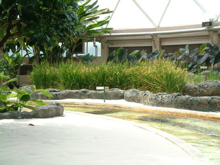 Filename=EPCOT_9-22-03_029.jpg
Filesize=1310KiB
Dimensions=2048x1536
Date added=Sep 27, 2019 EPCOT_9-22-03_029.jpg