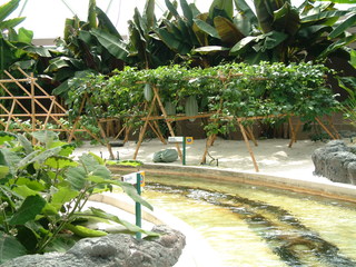 Filename=EPCOT_9-22-03_030.jpg
Filesize=1293KiB
Dimensions=2048x1536
Date added=Sep 27, 2019 EPCOT_9-22-03_030.jpg