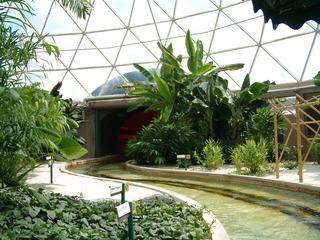 Filename=EPCOT_9-22-03_031.jpg
Filesize=1385KiB
Dimensions=2048x1536
Date added=Sep 27, 2019 EPCOT_9-22-03_031.jpg