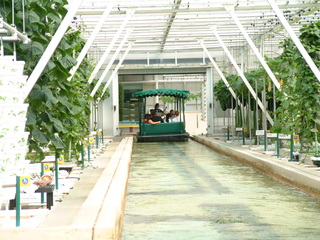 Filename=EPCOT_9-22-03_036.jpg
Filesize=1325KiB
Dimensions=2048x1536
Date added=Sep 27, 2019 EPCOT_9-22-03_036.jpg