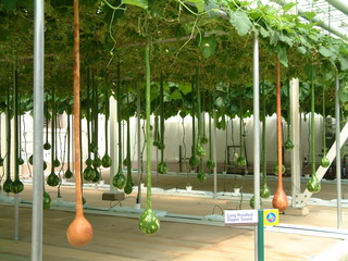 Filename=EPCOT_9-22-03_039.jpg
Filesize=1262KiB
Dimensions=2048x1536
Date added=Sep 27, 2019 EPCOT_9-22-03_039.jpg