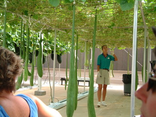 Filename=EPCOT_9-22-03_040.jpg
Filesize=1259KiB
Dimensions=2048x1536
Date added=Sep 27, 2019 EPCOT_9-22-03_040.jpg