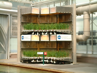 Filename=EPCOT_9-22-03_043.jpg
Filesize=1258KiB
Dimensions=2048x1536
Date added=Sep 27, 2019 EPCOT_9-22-03_043.jpg