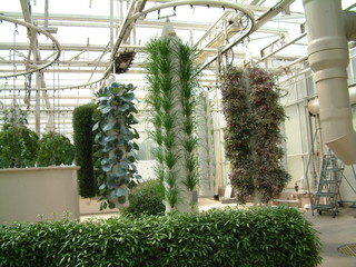 Filename=EPCOT_9-22-03_044.jpg
Filesize=1303KiB
Dimensions=2048x1536
Date added=Sep 27, 2019 EPCOT_9-22-03_044.jpg