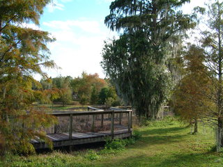 Turkey_Lake_Park_11-30-02-_010.jpg