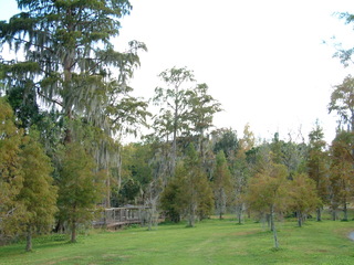 Turkey_Lake_Park_11-30-02-_017.jpg