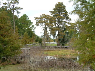 Turkey_Lake_Park_11-30-02-_031.jpg