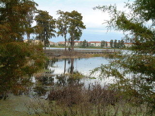 Turkey_Lake_Park_11-30-02-_032.jpg