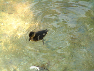 Filename=seaworld4-03_029.jpg
Filesize=1252KiB
Dimensions=2048x1536
Date added=Sep 28, 2019 seaworld4-03_029.jpg