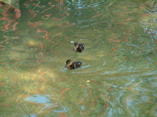 Filename=seaworld4-03_030.jpg
Filesize=1224KiB
Dimensions=2048x1536
Date added=Sep 28, 2019 seaworld4-03_030.jpg