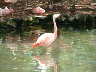 Filename=seaworld4-03_037.jpg
Filesize=1279KiB
Dimensions=2048x1536
Date added=Sep 28, 2019 seaworld4-03_037.jpg