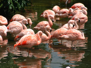 Filename=seaworld4-03_040.jpg
Filesize=1279KiB
Dimensions=2048x1536
Date added=Sep 28, 2019 seaworld4-03_040.jpg