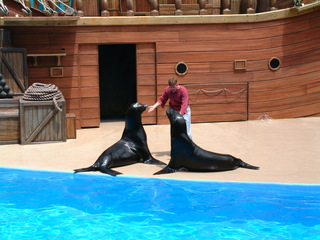 seaworld5-2-03-_020.jpg